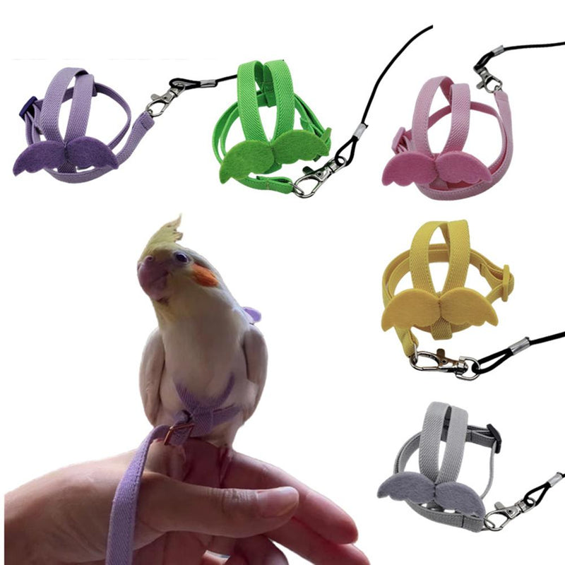 Coleira para Ave Pequena Treinamento Pet de Voo e Passeio BirdFlying