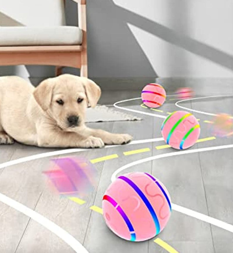 Bola Interativa para Cão Smart InteractiveDog Controle Remoto