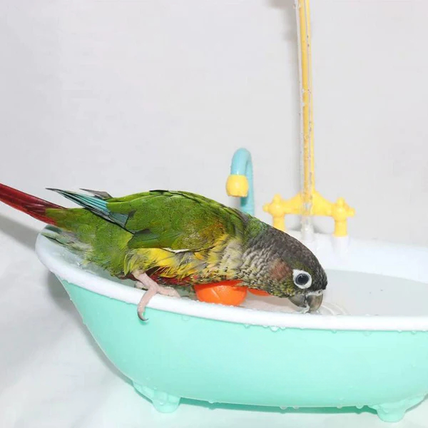 Banheira Pet Banho para Aves Birdbath