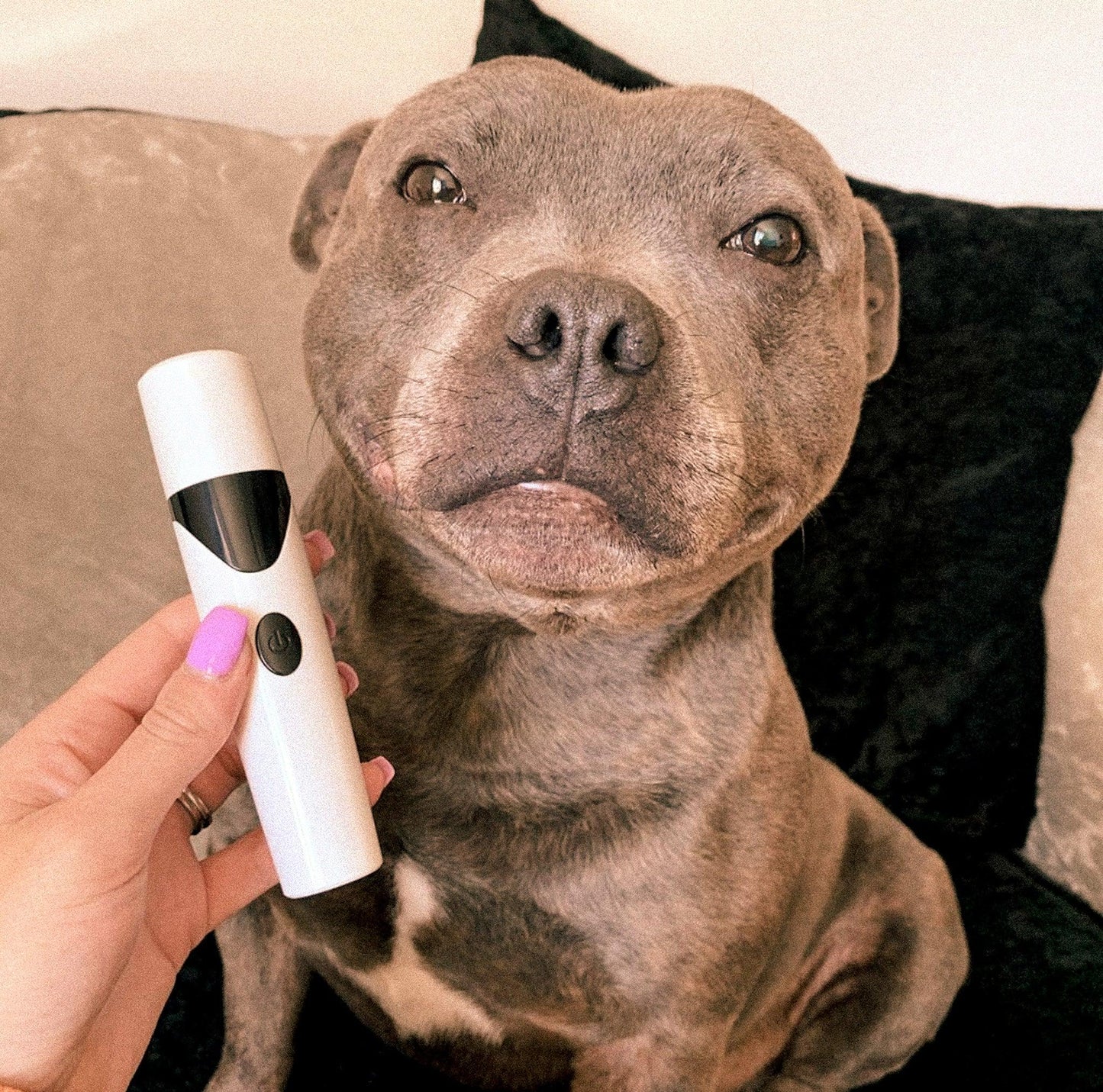 Eletro-Pets Lixa Elétrica de Unhas Para Qualquer Animal de Estimação - uaumarca